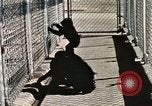 Immagine di Formazione di uno scimpanzé New Mexico United States USA, 1960, secondo 60 filmato di repertorio 65675065071