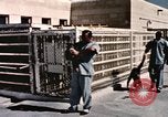 Immagine di Formazione di uno scimpanzé New Mexico United States USA, 1960, secondo 12 filmato di repertorio 65675065072