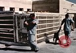 Immagine di Formazione di uno scimpanzé New Mexico United States USA, 1960, secondo 13 filmato di repertorio 65675065072