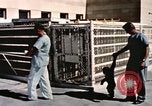Immagine di Formazione di uno scimpanzé New Mexico United States USA, 1960, secondo 15 filmato di repertorio 65675065072