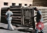 Immagine di Formazione di uno scimpanzé New Mexico United States USA, 1960, secondo 16 filmato di repertorio 65675065072