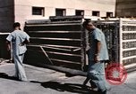 Immagine di Formazione di uno scimpanzé New Mexico United States USA, 1960, secondo 17 filmato di repertorio 65675065072