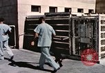 Immagine di Formazione di uno scimpanzé New Mexico United States USA, 1960, secondo 18 filmato di repertorio 65675065072