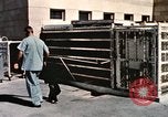 Immagine di Formazione di uno scimpanzé New Mexico United States USA, 1960, secondo 19 filmato di repertorio 65675065072