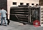Immagine di Formazione di uno scimpanzé New Mexico United States USA, 1960, secondo 20 filmato di repertorio 65675065072