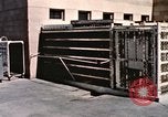 Immagine di Formazione di uno scimpanzé New Mexico United States USA, 1960, secondo 22 filmato di repertorio 65675065072