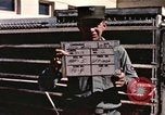 Immagine di Formazione di uno scimpanzé New Mexico United States USA, 1960, secondo 26 filmato di repertorio 65675065072