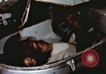 Image of training of chimpanzee New Mexico United States USA, 1960, second 10 stock footage video 65675065073