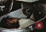 Image of training of chimpanzee New Mexico United States USA, 1960, second 13 stock footage video 65675065073