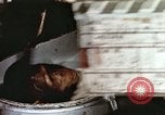 Image of training of chimpanzee New Mexico United States USA, 1960, second 14 stock footage video 65675065073
