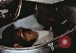 Image of training of chimpanzee New Mexico United States USA, 1960, second 17 stock footage video 65675065073