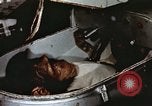 Image of training of chimpanzee New Mexico United States USA, 1960, second 21 stock footage video 65675065073