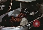 Image of training of chimpanzee New Mexico United States USA, 1960, second 25 stock footage video 65675065073