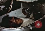 Image of training of chimpanzee New Mexico United States USA, 1960, second 28 stock footage video 65675065073