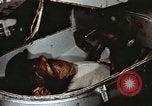 Image of training of chimpanzee New Mexico United States USA, 1960, second 37 stock footage video 65675065073