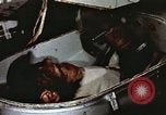 Image of training of chimpanzee New Mexico United States USA, 1960, second 45 stock footage video 65675065073