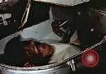 Image of training of chimpanzee New Mexico United States USA, 1960, second 59 stock footage video 65675065073