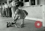 Image Petit homme Richard Mackey entre Air Force San Antonio Texas USA, 1951, de la seconde 16 séquences d'archives historiques vidéo 65675065081