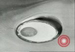 Image of exhibition Paris France, 1951, second 34 stock footage video 65675065087