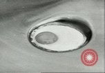 Image of exhibition Paris France, 1951, second 35 stock footage video 65675065087