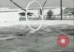 Standbild Schweinswal Marineland Florida USA, 1951, aus Sekunde 6 historischem Filmmaterial Videoclip 65675065088