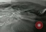 Standbild Schweinswal Marineland Florida USA, 1951, aus Sekunde 11 historischem Filmmaterial Videoclip 65675065088