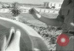 Standbild Schweinswal Marineland Florida USA, 1951, aus Sekunde 13 historischem Filmmaterial Videoclip 65675065088