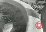 Standbild Schweinswal Marineland Florida USA, 1951, aus Sekunde 14 historischem Filmmaterial Videoclip 65675065088