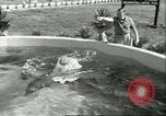 Standbild Schweinswal Marineland Florida USA, 1951, aus Sekunde 20 historischem Filmmaterial Videoclip 65675065088