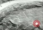 Standbild Schweinswal Marineland Florida USA, 1951, aus Sekunde 22 historischem Filmmaterial Videoclip 65675065088