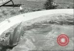 Standbild Schweinswal Marineland Florida USA, 1951, aus Sekunde 23 historischem Filmmaterial Videoclip 65675065088