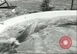 Standbild Schweinswal Marineland Florida USA, 1951, aus Sekunde 24 historischem Filmmaterial Videoclip 65675065088