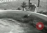 Standbild Schweinswal Marineland Florida USA, 1951, aus Sekunde 27 historischem Filmmaterial Videoclip 65675065088