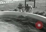 Standbild Schweinswal Marineland Florida USA, 1951, aus Sekunde 28 historischem Filmmaterial Videoclip 65675065088