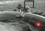 Standbild Schweinswal Marineland Florida USA, 1951, aus Sekunde 29 historischem Filmmaterial Videoclip 65675065088