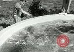 Standbild Schweinswal Marineland Florida USA, 1951, aus Sekunde 33 historischem Filmmaterial Videoclip 65675065088