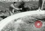Standbild Schweinswal Marineland Florida USA, 1951, aus Sekunde 34 historischem Filmmaterial Videoclip 65675065088