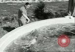 Standbild Schweinswal Marineland Florida USA, 1951, aus Sekunde 35 historischem Filmmaterial Videoclip 65675065088
