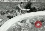Standbild Schweinswal Marineland Florida USA, 1951, aus Sekunde 37 historischem Filmmaterial Videoclip 65675065088