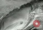 Standbild Schweinswal Marineland Florida USA, 1951, aus Sekunde 40 historischem Filmmaterial Videoclip 65675065088