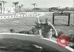 Standbild Schweinswal Marineland Florida USA, 1951, aus Sekunde 42 historischem Filmmaterial Videoclip 65675065088