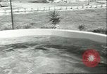Standbild Schweinswal Marineland Florida USA, 1951, aus Sekunde 43 historischem Filmmaterial Videoclip 65675065088