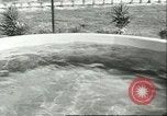 Standbild Schweinswal Marineland Florida USA, 1951, aus Sekunde 44 historischem Filmmaterial Videoclip 65675065088