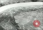Standbild Schweinswal Marineland Florida USA, 1951, aus Sekunde 46 historischem Filmmaterial Videoclip 65675065088