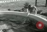 Standbild Schweinswal Marineland Florida USA, 1951, aus Sekunde 50 historischem Filmmaterial Videoclip 65675065088