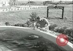 Standbild Schweinswal Marineland Florida USA, 1951, aus Sekunde 52 historischem Filmmaterial Videoclip 65675065088
