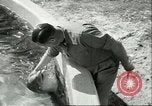 Standbild Schweinswal Marineland Florida USA, 1951, aus Sekunde 54 historischem Filmmaterial Videoclip 65675065088
