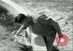 Standbild Schweinswal Marineland Florida USA, 1951, aus Sekunde 55 historischem Filmmaterial Videoclip 65675065088