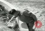 Standbild Schweinswal Marineland Florida USA, 1951, aus Sekunde 56 historischem Filmmaterial Videoclip 65675065088