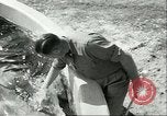 Standbild Schweinswal Marineland Florida USA, 1951, aus Sekunde 57 historischem Filmmaterial Videoclip 65675065088
